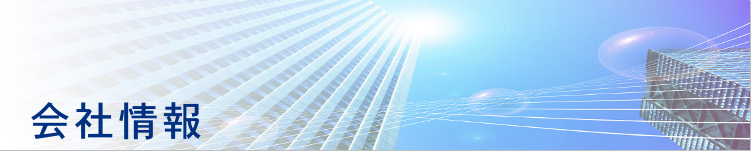 MK�R���T���^���g�������